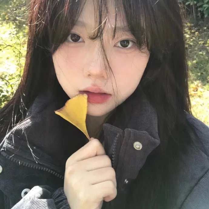红楼梦第二部:黛玉葬花